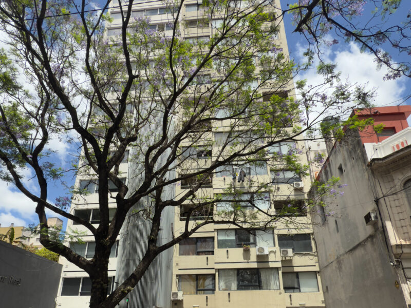 Monoambiene - 9 de Julio 1961 - Rosario