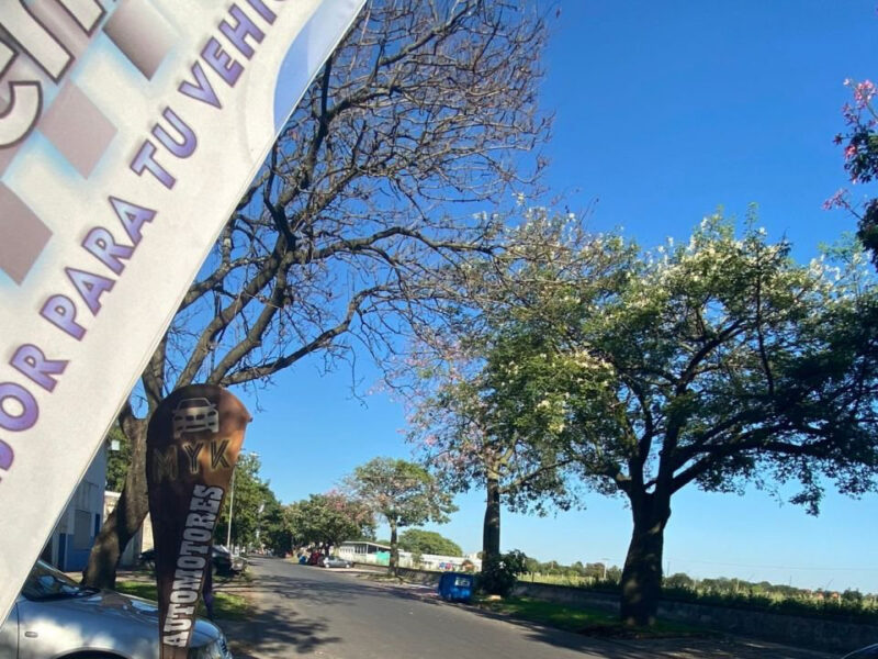 Galpón - Eva Perón 215 - Baigorria